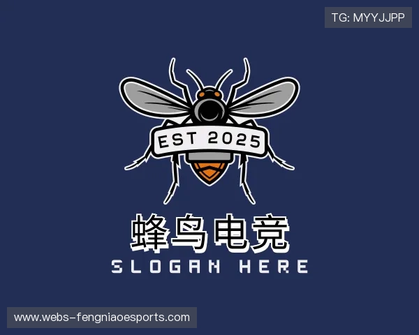 关于蜂鸟电竞中心